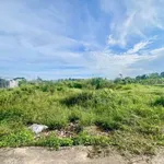 Bán đất nền 1120m² góc 2 mặt tiền Bình Thuận 1 tỷ 4 - Ảnh thu nhỏ 4