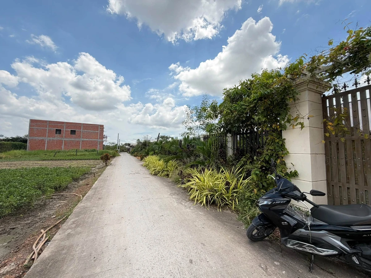 Bán 1.358m² đất Phước Lý Cần Giờ 5,5 tỷ - Ảnh thu nhỏ 5