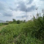 Ngân hàng thanh lý đất tại TD112-118, khóm 6, Phường 9, Thành phố Cà Mau, tỉnh Cà Mau-05227038 - Ảnh thu nhỏ 29