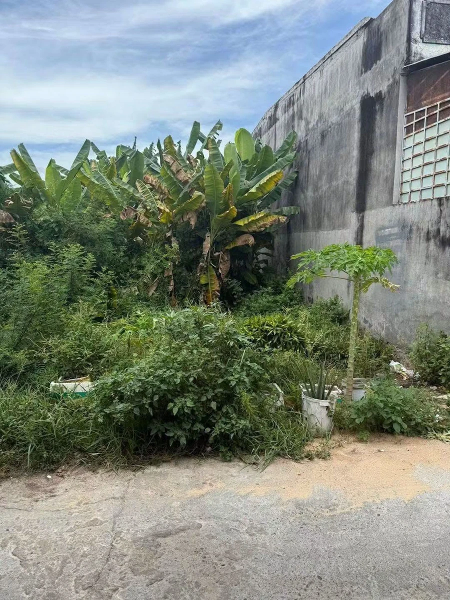 Bán đất thổ cư 100m² đường 30/4 Phước Thắng - Ảnh thu nhỏ 2