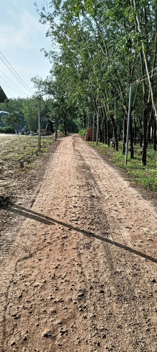 Bán đất thổ cư 50m² Châu Thành Tây Ninh 350 triệu - Ảnh thu nhỏ 3