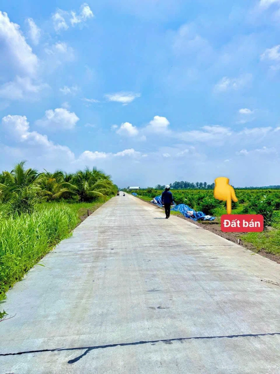 Bán đất nền 500m² Thạnh Lợi Tây Ninh, giá 560 triệu/500m² - Ảnh thu nhỏ 2