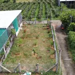 Bán lô đất 130m2 Hàm Liêm, Lâm Đồng - Ảnh thu nhỏ 4