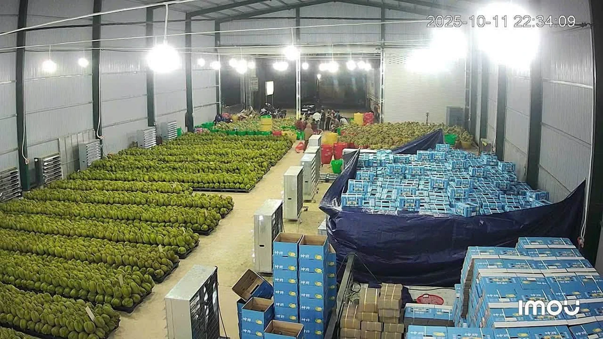 Bán kho mặt tiền Quốc lộ 14, Krông Búk, Đắk Lắk, 1400m2, giá 12 tỷ - Ảnh 1