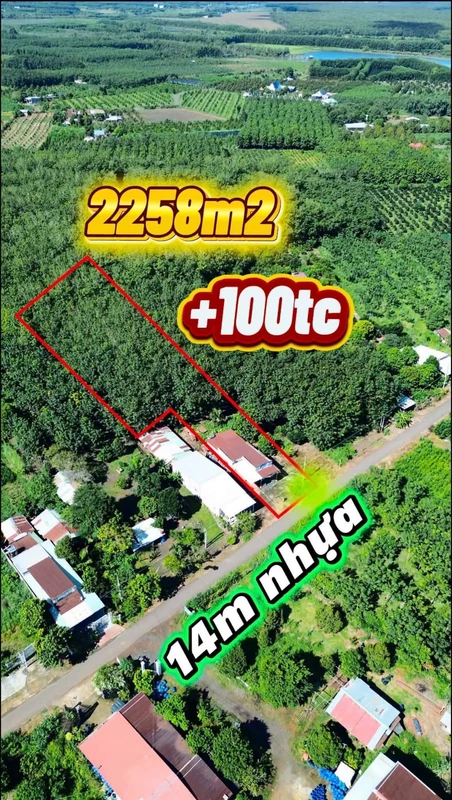 Bán nhà 3 phòng ngủ vườn cao su Bù Đốp 2258m2
