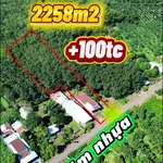 Bán nhà 3 phòng ngủ vườn cao su Bù Đốp 2258m2 - Ảnh thu nhỏ 1