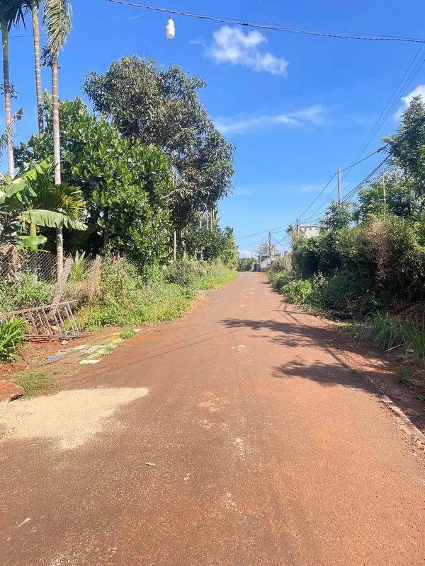 Bán lô đất mặt tiền Đạt Lý, Bình Minh, 380m²