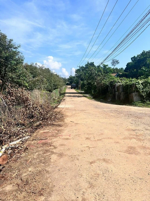 Bán vườn sầu riêng Thái 18000m2 Lâm Đồng
