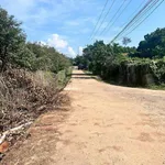 Bán vườn sầu riêng Thái 18000m2 Lâm Đồng - Ảnh thu nhỏ 1