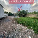 Bán đất 616m² tại xã Tân Bửu, Bình Chánh - Ảnh thu nhỏ 1