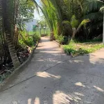 Bán đất 281m² Xã Mỹ Thạnh An, Bến Tre, 790 triệu - Ảnh thu nhỏ 1