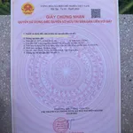 Bán đất Thôn Phước Trạch Diên Toàn 118m² 1 tỷ 320 triệu - Ảnh thu nhỏ 2
