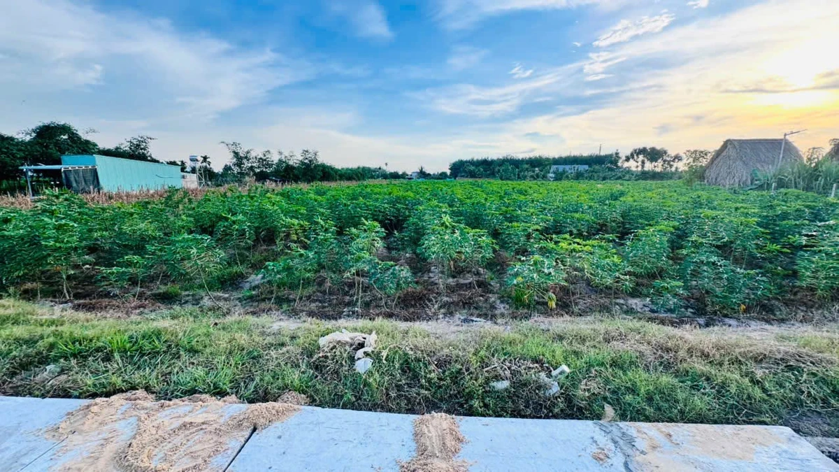 Bán đất 4.200m² Tây Ninh, giá 3 tỷ 900 triệu - Ảnh thu nhỏ 4