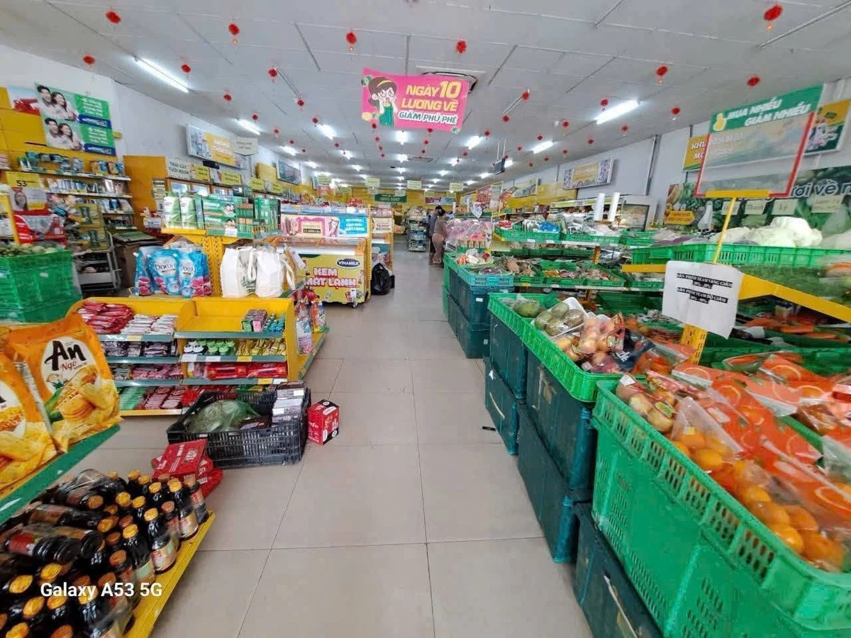 Bán đất nhà mặt tiền 626m² Tây Ninh gần chợ Gò Đen - Ảnh thu nhỏ 3