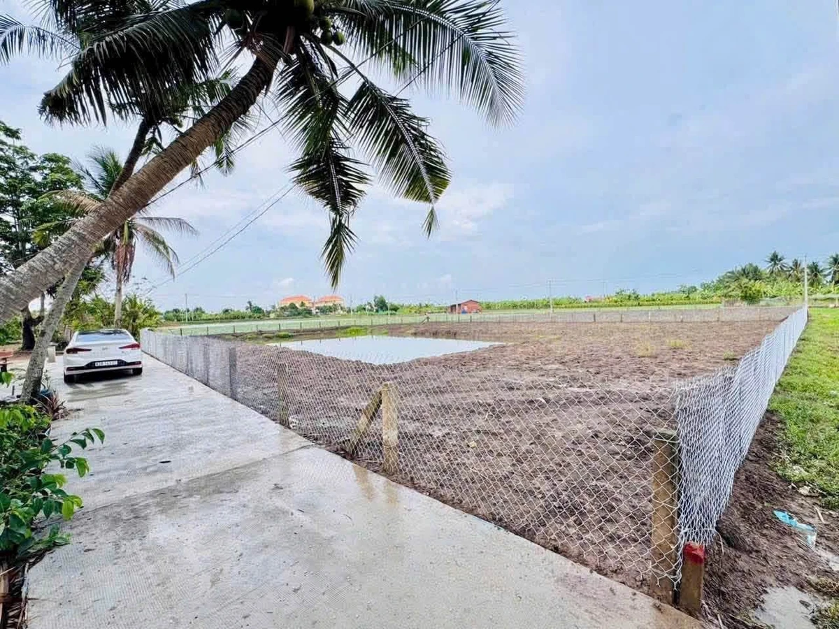 Bán đất 1.586m2 gần Huỳnh Văn Đảnh 1 tỷ 750 - Ảnh 1