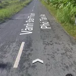Bán lô đất lúa mặt tiền vành đai 4000m² Thủ Thừa Long An - Ảnh thu nhỏ 1