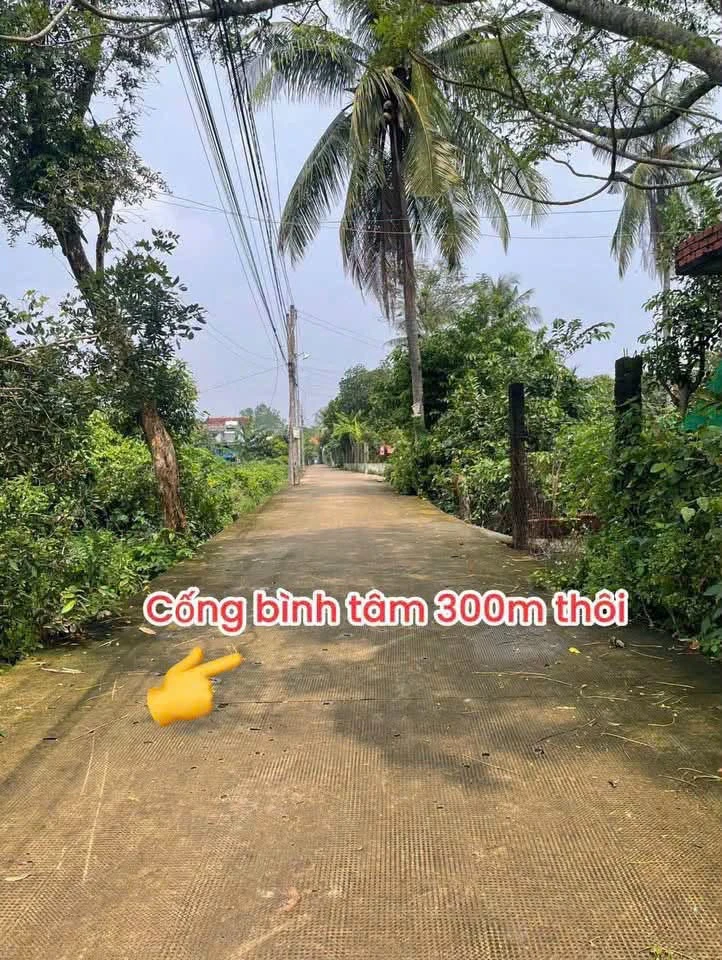 Bán lô đất thổ cư 400 m² Tây Ninh 1 tỷ 250 triệu - Ảnh thu nhỏ 3