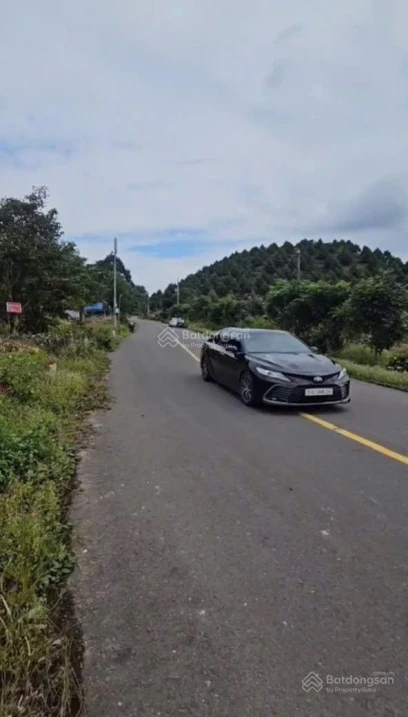 Cần bán đất Lâm Đồng, giảm sâu cho ai mua nhanh vì cần bán gấp - Ảnh thu nhỏ 3