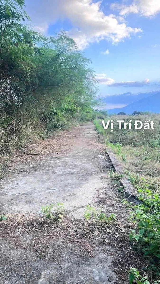 Bán đất 80m2 Diên Khánh Nha Trang 400 triệu - Ảnh thu nhỏ 2