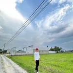 Bán 1000m² đất Mỹ Hạnh Nam, Bình Chánh 3.8 tỷ - Ảnh thu nhỏ 1