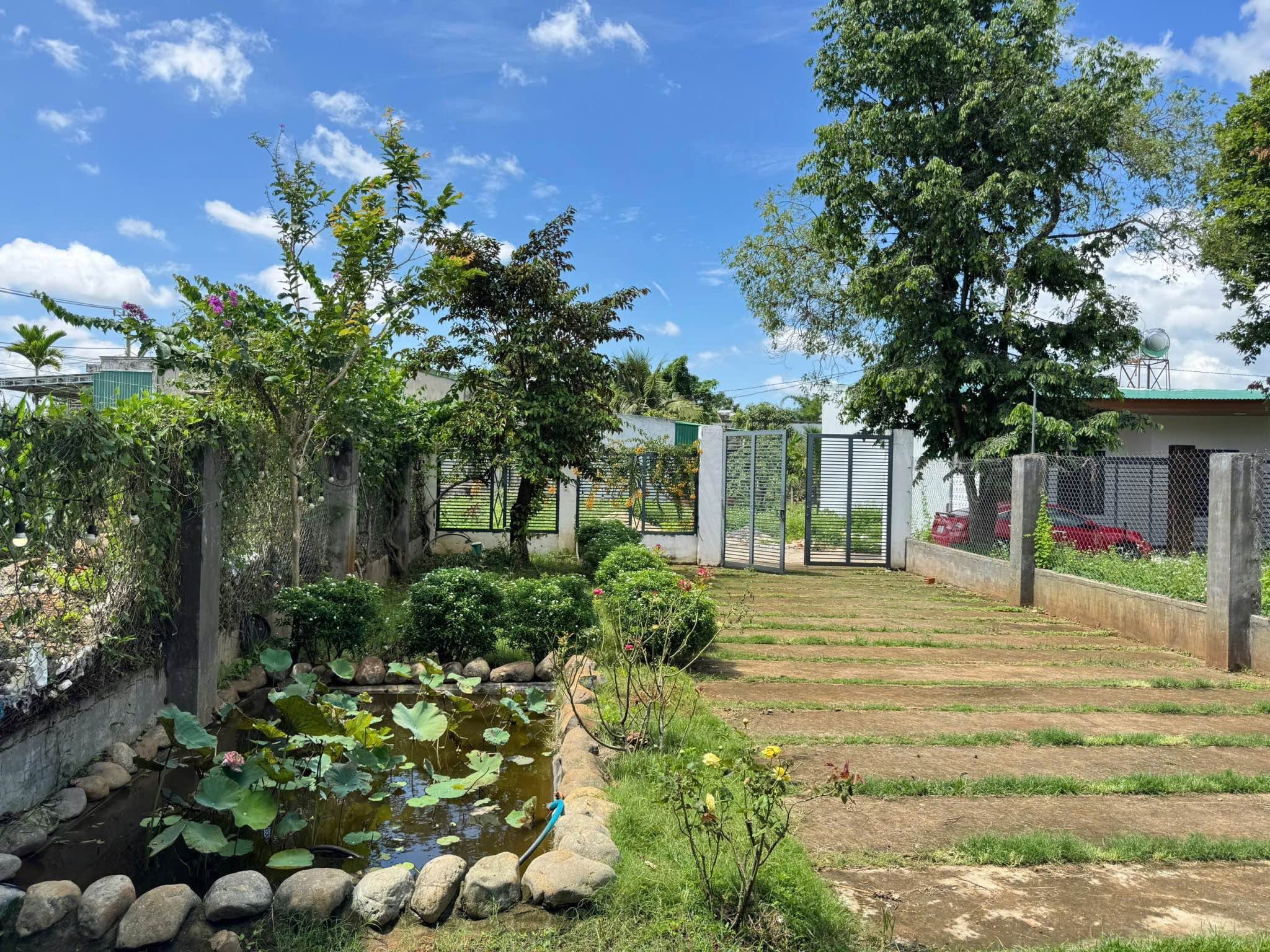 Nhà vườn nghỉ dưỡng 542m² Buôn Ma Thuột 2,35 tỷ