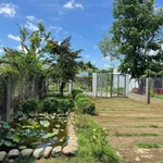Nhà vườn nghỉ dưỡng 542m² Buôn Ma Thuột 2,35 tỷ - Ảnh thu nhỏ 1