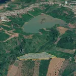 Bán 2,8ha đất cà phê view thác ở Đắk Nia, Lâm Đồng - Ảnh thu nhỏ 2