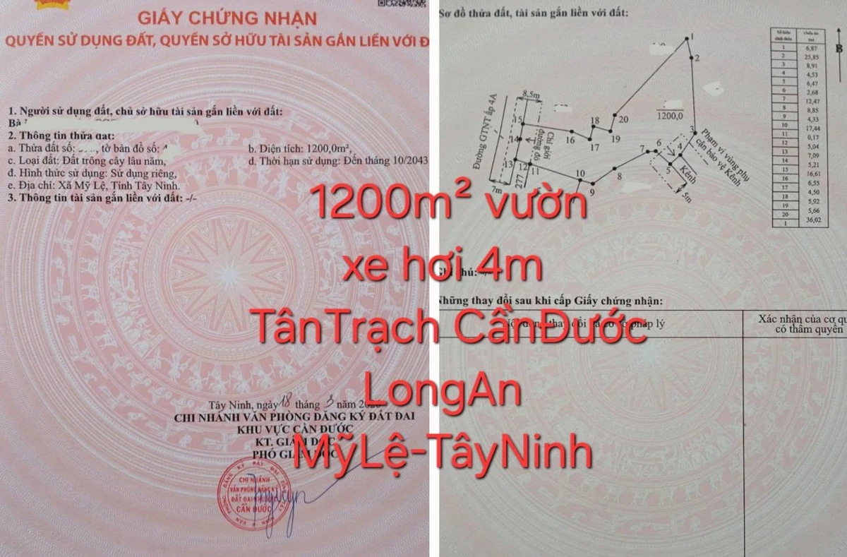 Bán 1200 m² đất vườn Tân Trạch Cần Dước Long An 1 tỷ 100 triệu - Ảnh 1
