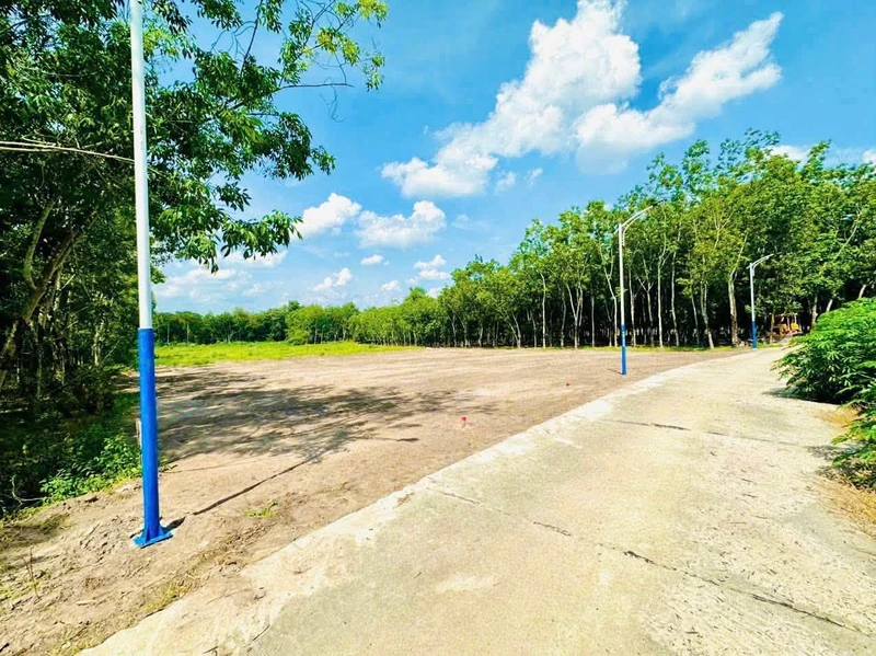 Bán đất 4700m2 Chơn Thành, 1 tỷ 350 triệu