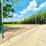 Bán đất 4700m2 Chơn Thành, 1 tỷ 350 triệu - Ảnh thu nhỏ 1