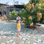 Bán nhà 4 phòng Phú Cường 360m², 7 tỷ - Ảnh thu nhỏ 1