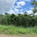 Bán đất Lộc An 1200m2 giá 1 tỷ 5 - Ảnh thu nhỏ 2