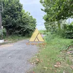 Nền đất 122 m² đường Số 2, An Xuyên, Cà Mau - Ảnh thu nhỏ 1