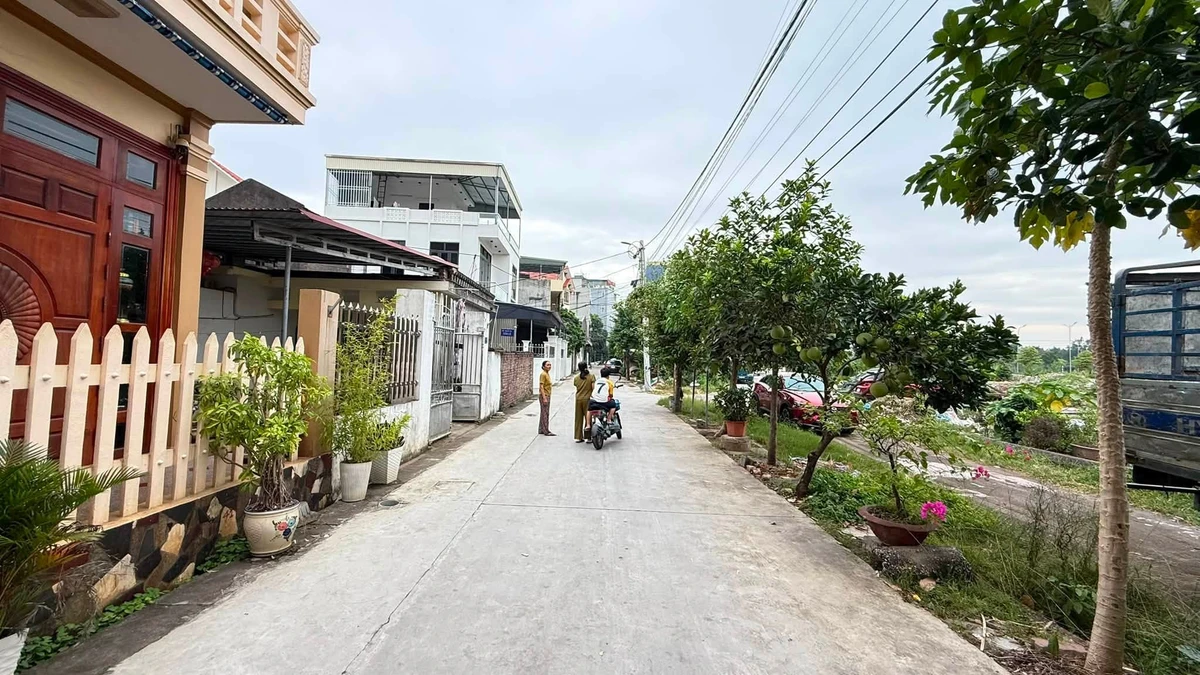 Bán lô đất 57,8 m² mặt tiền rộng đường Trường Chính 2,5 tỷ - Ảnh thu nhỏ 2