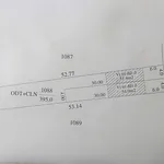 Bán đất 4x52m Trường Hòa, đường Trí Huệ, Tây Ninh - Ảnh thu nhỏ 4