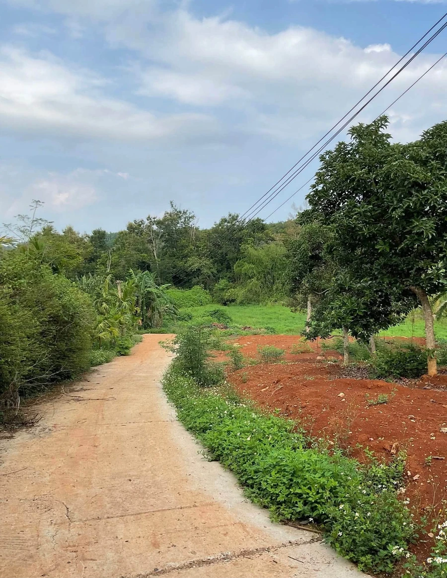 Bán nhà vườn homestay 1.163m² Km12 Quốc lộ 26, Ea Knuếc, Đắk Lắk - Ảnh thu nhỏ 2