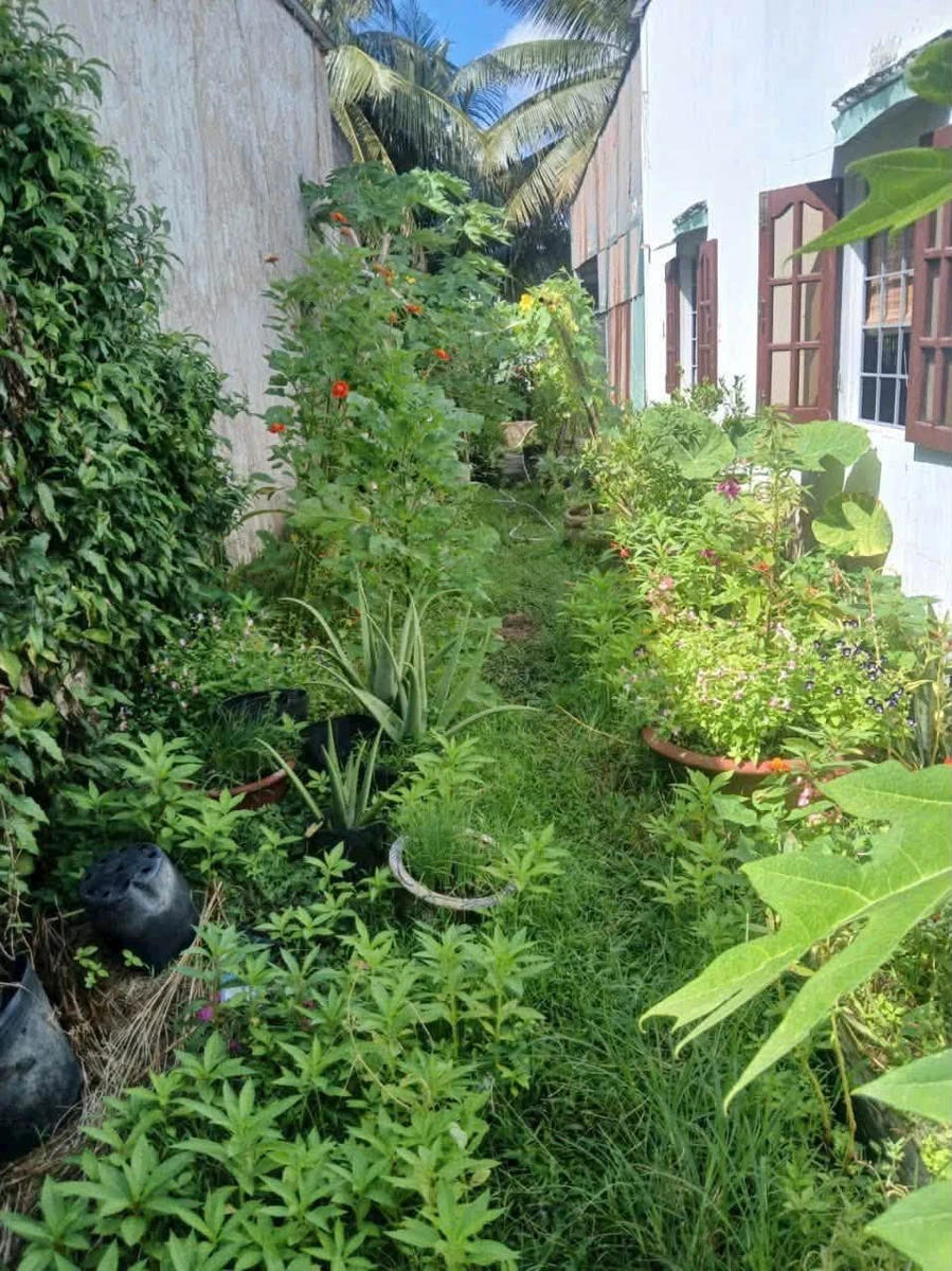Bán thổ cư nền 70m2 mặt tiền kênh chợ 520 triệu - Ảnh thu nhỏ 2