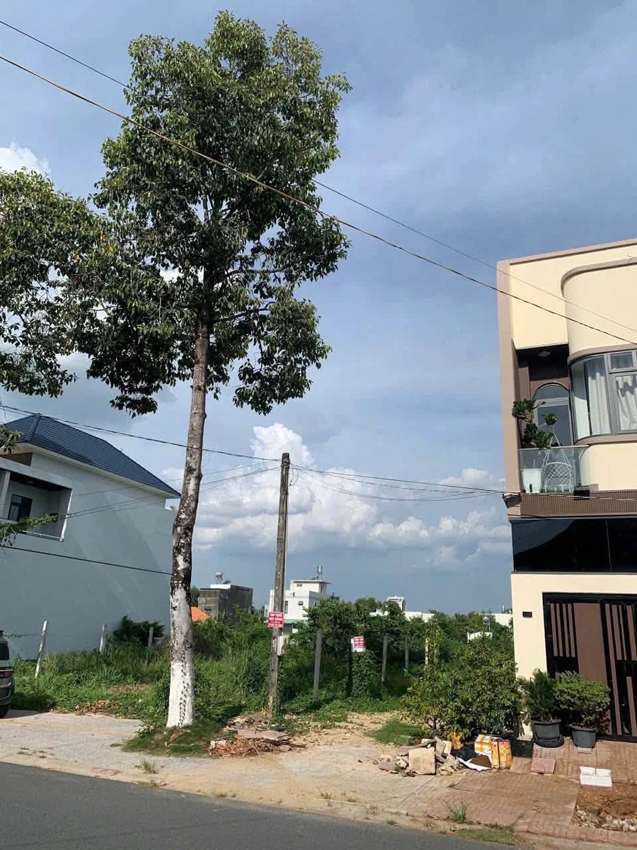 Bán đất mặt tiền Nguyễn Chí Thanh, Tây Ninh, 5x20m - Ảnh 1