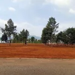 Bán đất mặt tiền đường nhựa 7x52m, 60m2 thổ cư, phường Tam Long, TP.HCM - Ảnh thu nhỏ 1
