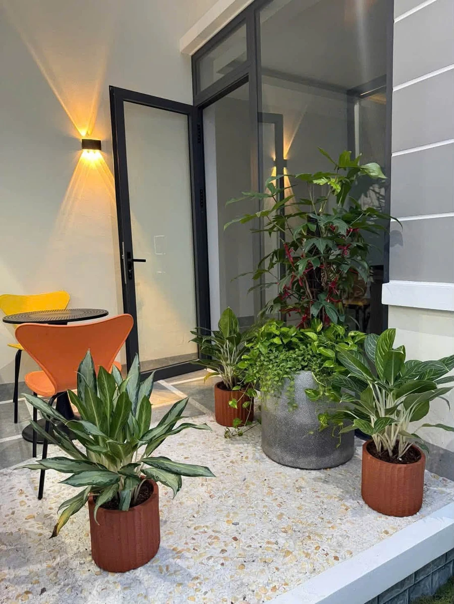 Bán nhà mặt tiền 365.8m2, 3PN, Bến Tre, 2.7 tỷ - Ảnh thu nhỏ 2