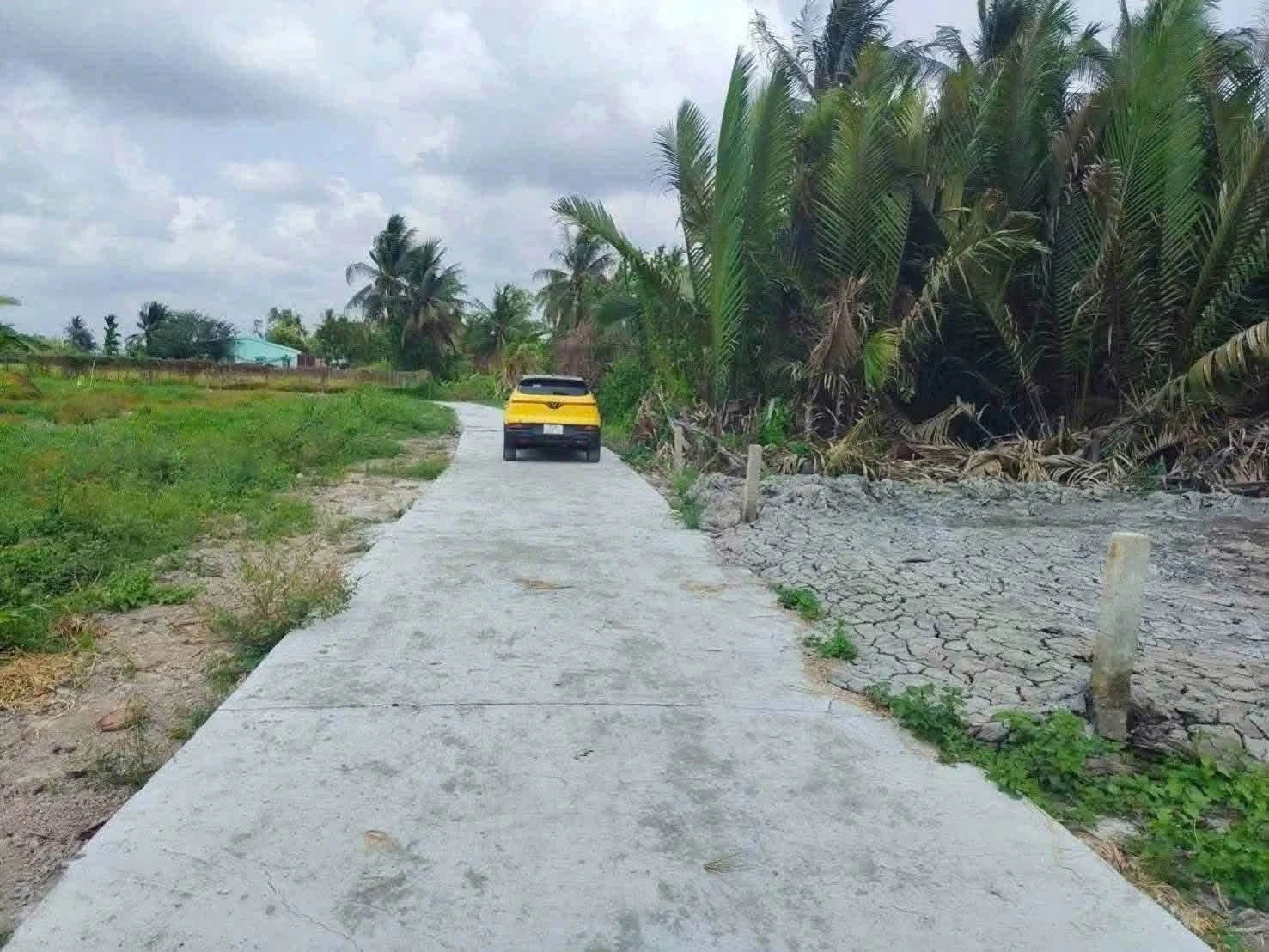 Bán đất 1300m2 (312m2 thổ cư) giá 1 tỷ 299 triệu tại xã Tầm Vu, Tây Ninh - Ảnh 1