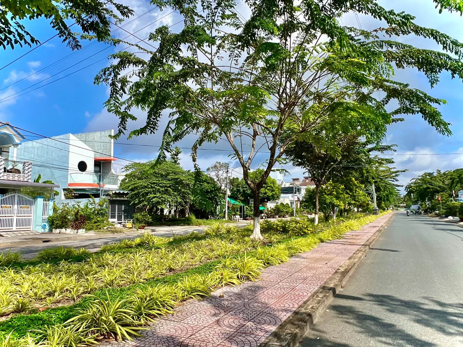 Bán nhà cấp 4, mặt tiền Trần Văn Giàu, 125m², 2 tỷ - Ảnh 1