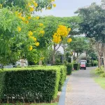 Chính chủ bán nhanh bán biệt thự biển nghỉ dưỡng Oceanami Luxury Homes and Resort, Long Hải, 236m2 - Ảnh thu nhỏ 10