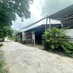 Bán đất Đức Hoà, Long An, 10x19m, 2 tỷ - Ảnh thu nhỏ 2