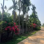 Bán đất nền Ea Kao 210m² giá 695 triệu - Ảnh thu nhỏ 1
