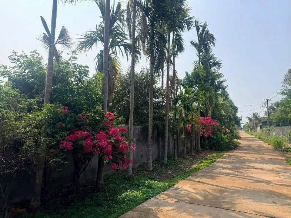 Bán đất nền Ea Kao 210m² giá 695 triệu - Ảnh 1