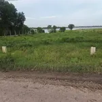 Bán lô đất 290m² ở Xã Long Chữ, Tây Ninh - Ảnh thu nhỏ 5