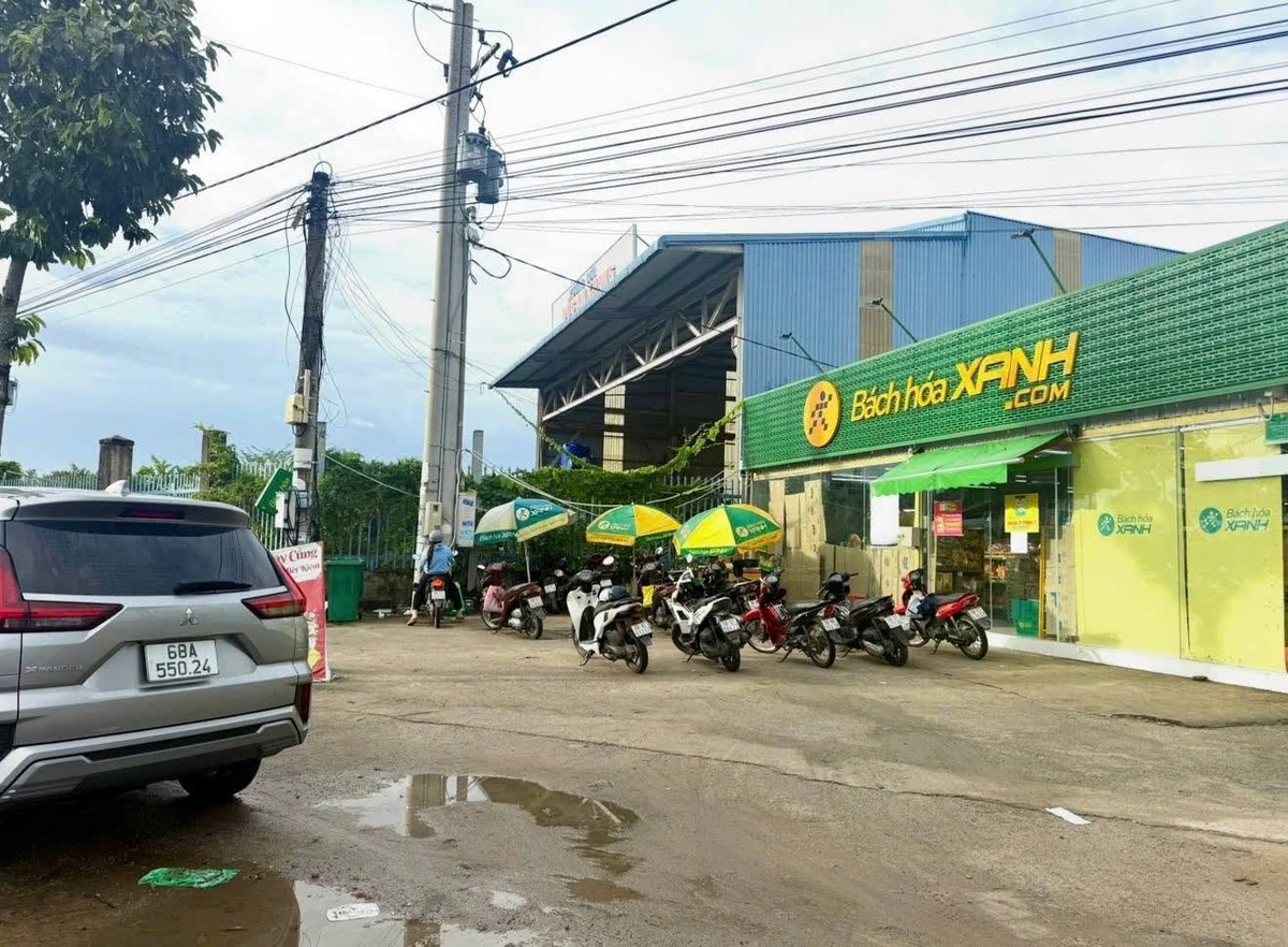 Bán đất nền Thạnh Lộc 400m² 950 triệu Kiên Giang - Ảnh thu nhỏ 5