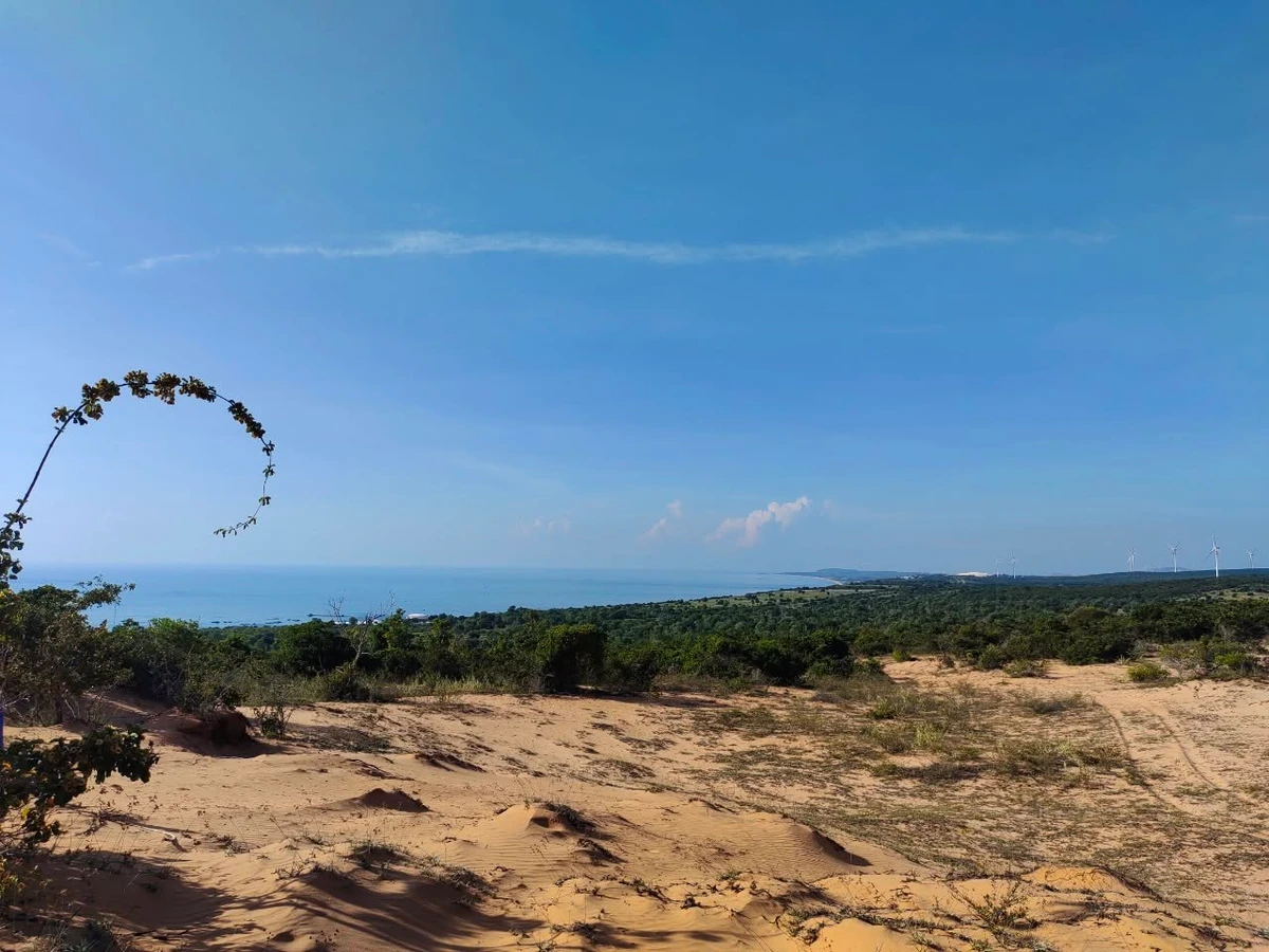Bán đất 2,5ha view biển & điện gió Phan Rí Thành, Bình Thuận - Ảnh thu nhỏ 4