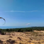 Bán đất 2,5ha view biển & điện gió Phan Rí Thành, Bình Thuận - Ảnh thu nhỏ 4